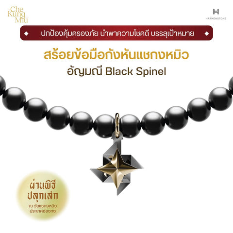 The Che Kung Miu x Fortune Gemstone | กังหันแชกงหมิว x 13 อัญมณีมงคล - Harmenstone Thailand
