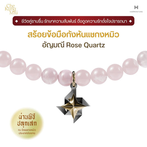 The Che Kung Miu x Fortune Gemstone | กังหันแชกงหมิว x 13 อัญมณีมงคล - Harmenstone Thailand