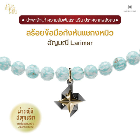 The Che Kung Miu x Fortune Gemstone | กังหันแชกงหมิว x 13 อัญมณีมงคล - Harmenstone Thailand