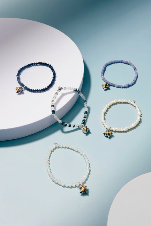 The Che Kung Miu x Fortune Gemstone | กังหันแชกงหมิว x 13 อัญมณีมงคล - Harmenstone Thailand